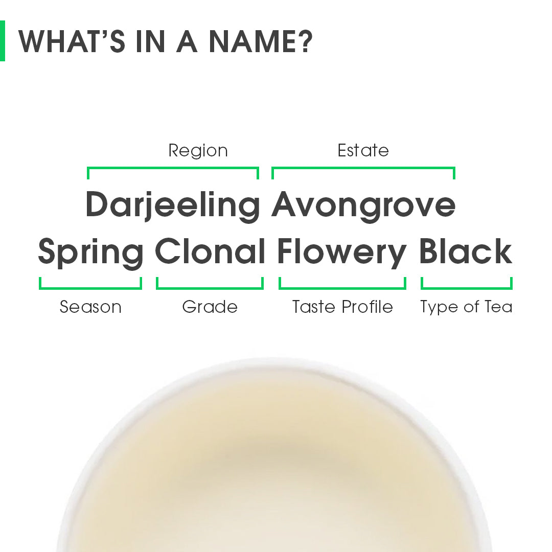 Darjeeling Avongrove Spring Clonal Flowery Black (Signature Series)