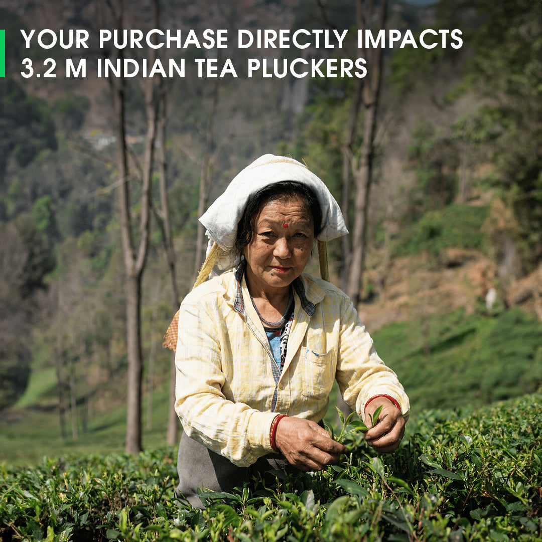 Darjeeling Exotic Moonlight White