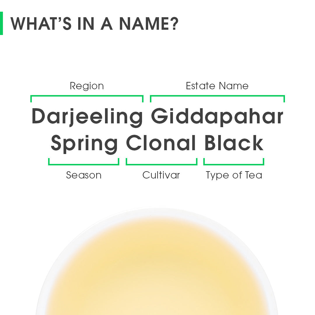 Darjeeling Giddapahar Spring Clonal Black (Limited Edition)