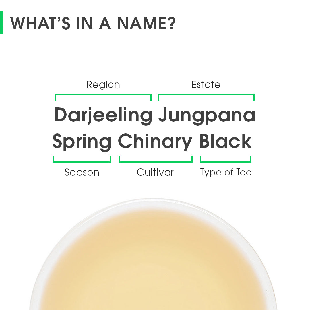 Darjeeling Jungpana Spring Chinary Black