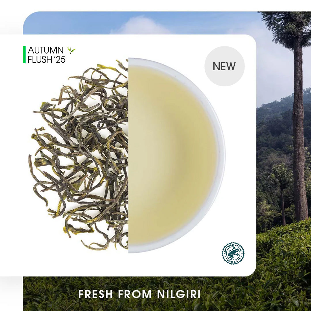 Nilgiri Glendale Autumn Twirl Green