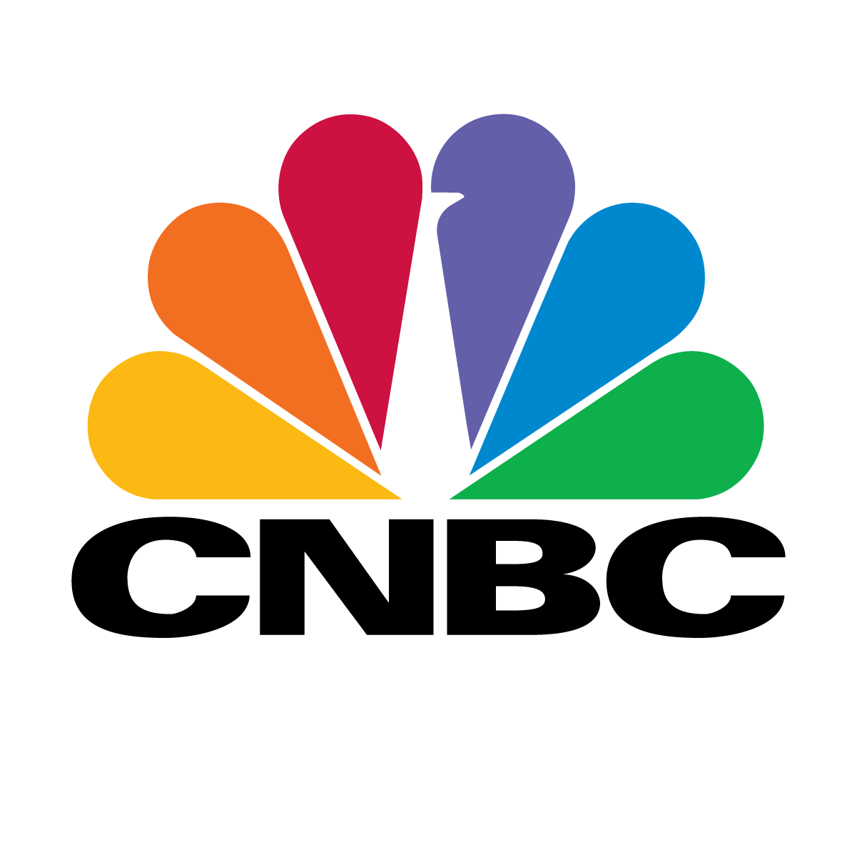 CNBC logo with a colorful peacock design.